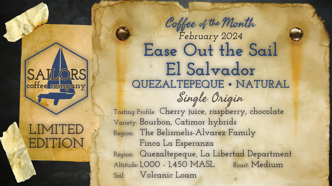 Limited-Edition, Coffee of the Month for February 2025: Ease Out the Sail El Salvador (Natural)