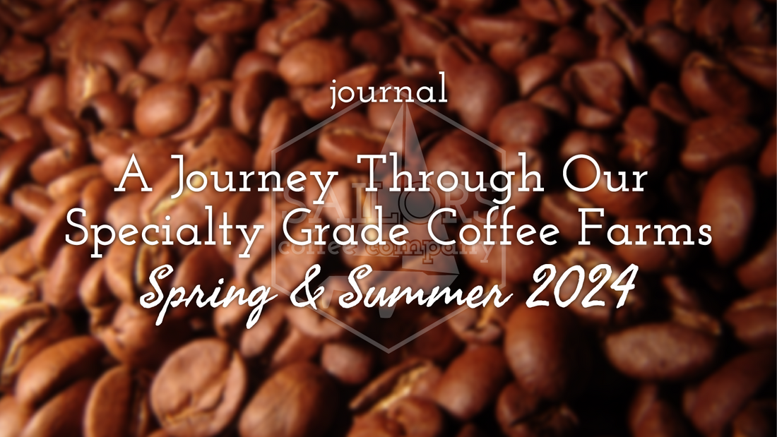 A Journey Through Our Specialty Grade Coffee Farms - Spring & Summer 2024