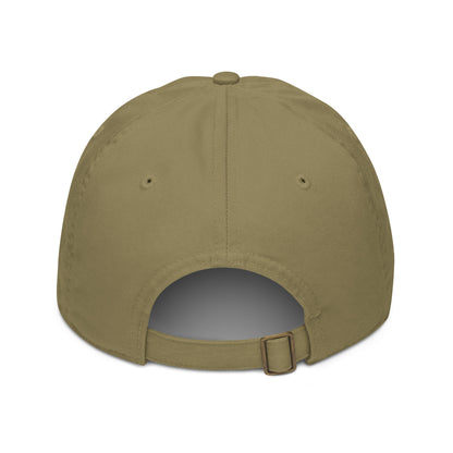 Organic dad hat (US Flag)