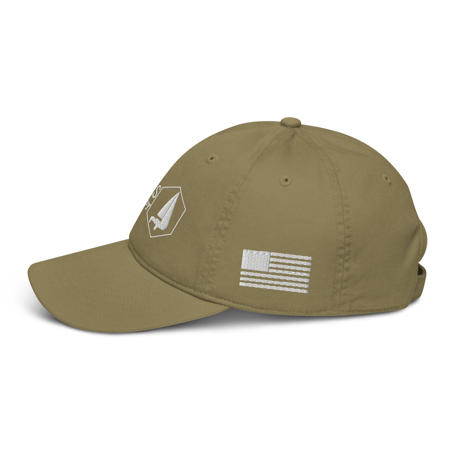 Organic dad hat (US Flag)